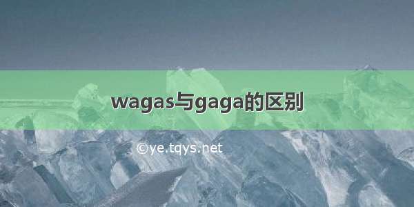wagas与gaga的区别