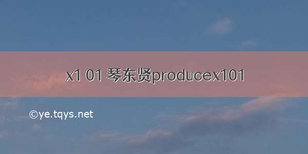 x1 01 琴东贤producex101