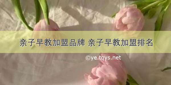 亲子早教加盟品牌 亲子早教加盟排名