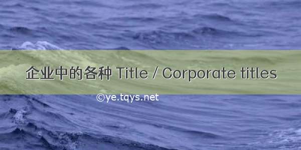 企业中的各种 Title / Corporate titles