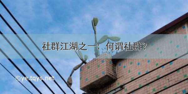 社群江湖之一：何谓社群？