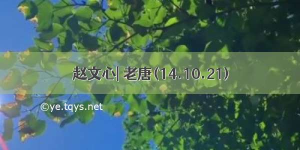 赵文心| 老唐(14.10.21)