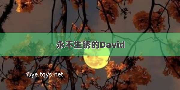 永不生锈的David