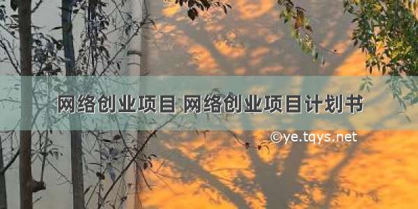 网络创业项目 网络创业项目计划书