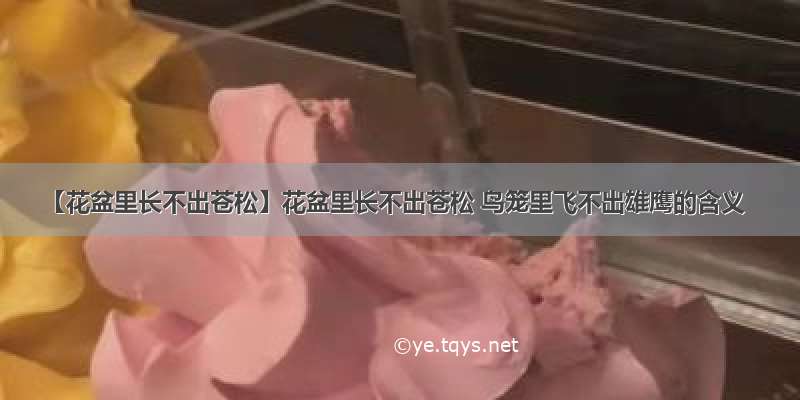 【花盆里长不出苍松】花盆里长不出苍松 鸟笼里飞不出雄鹰的含义