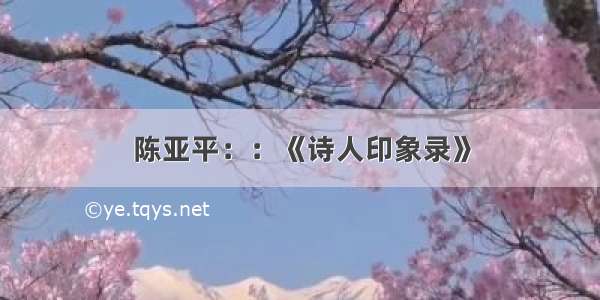 陈亚平：：《诗人印象录》