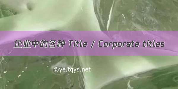 企业中的各种 Title / Corporate titles