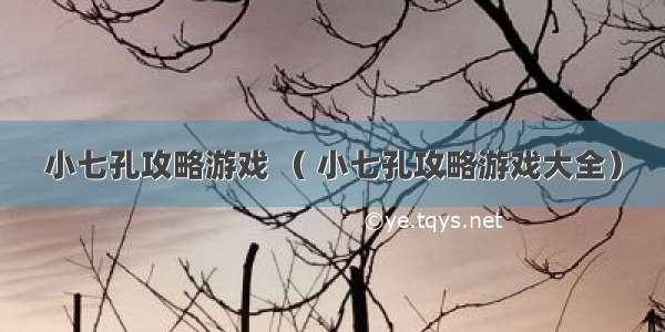 小七孔攻略游戏 （ 小七孔攻略游戏大全）