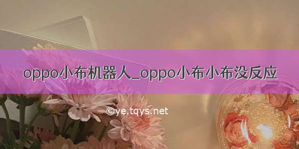 oppo小布机器人_oppo小布小布没反应