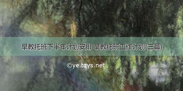 早教托班下半年计划安排 早教托班工作计划(三篇)