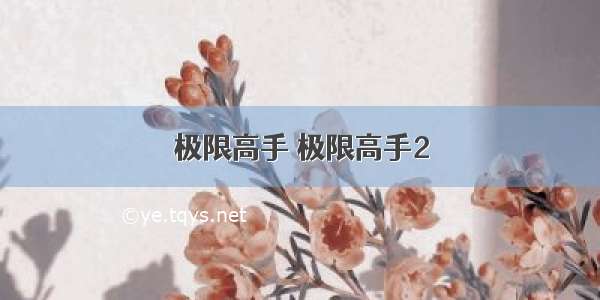 极限高手 极限高手2