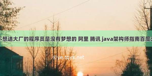 不想进大厂的程序员是没有梦想的 阿里 腾讯 java架构师指南百度云