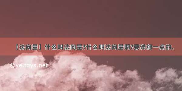 【法向量】什么叫法向量?什么叫法向量啊?要详细一点的.