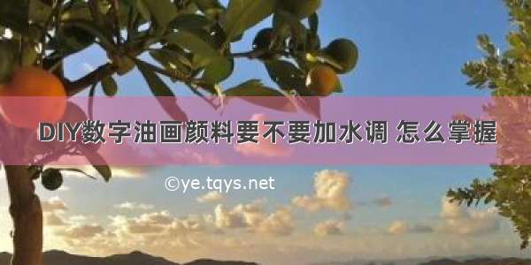 DIY数字油画颜料要不要加水调 怎么掌握