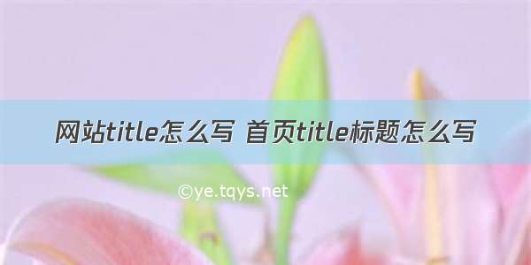 网站title怎么写 首页title标题怎么写