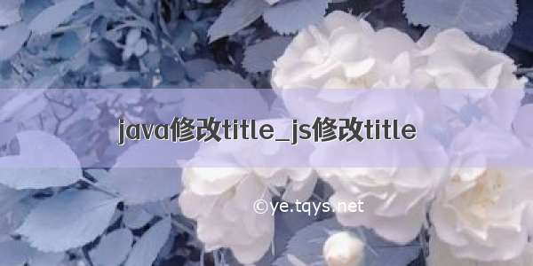 java修改title_js修改title