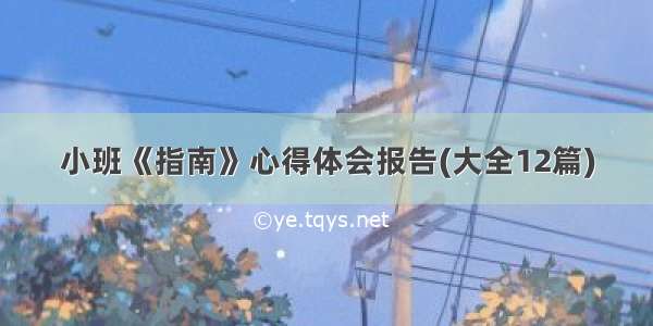 小班《指南》心得体会报告(大全12篇)