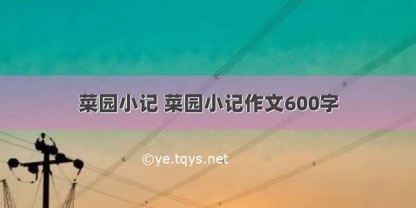 菜园小记 菜园小记作文600字