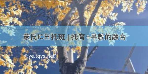 蒙氏IC日托班 | 托育+早教的融合