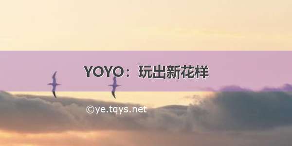 YOYO：玩出新花样