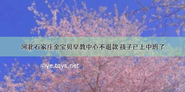 河北石家庄金宝贝早教中心不退款 孩子已上中班了