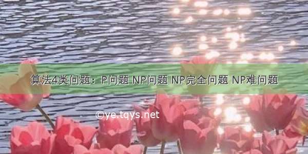 算法4类问题：P问题 NP问题 NP完全问题 NP难问题