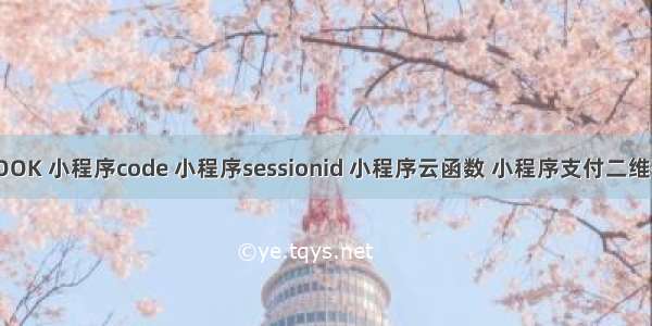 小程序HOOK 小程序code 小程序sessionid 小程序云函数 小程序支付二维码 支持抢