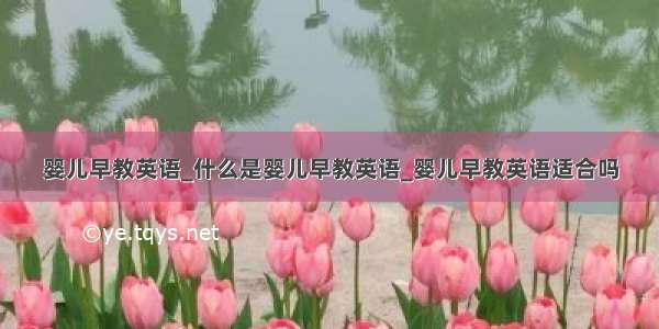 婴儿早教英语_什么是婴儿早教英语_婴儿早教英语适合吗