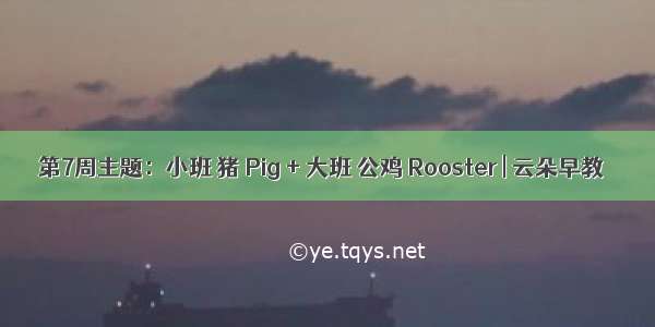 第7周主题：小班 猪 Pig + 大班 公鸡 Rooster | 云朵早教