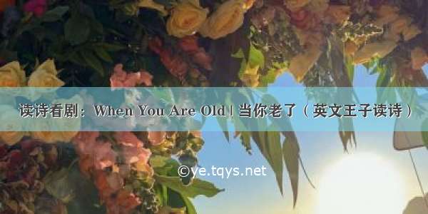 读诗看剧：When You Are Old | 当你老了（英文王子读诗）