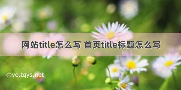 网站title怎么写 首页title标题怎么写