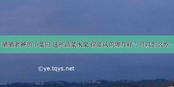 晒晒老爸的小菜园 这些蔬菜水果 你能认识哪几样？可以怎么吃？