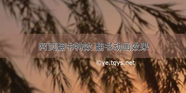 网页翻书特效 翻书动画效果