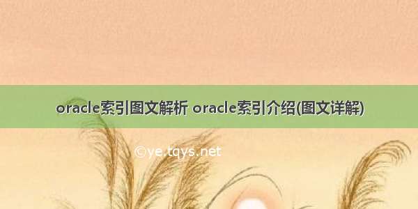 oracle索引图文解析 oracle索引介绍(图文详解)