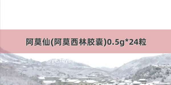 阿莫仙(阿莫西林胶囊)0.5g*24粒