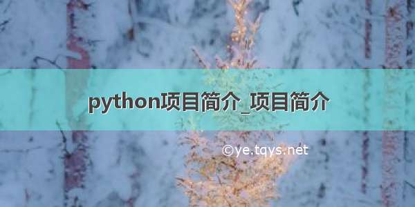 python项目简介_项目简介