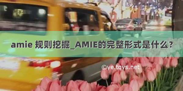 amie 规则挖掘_AMIE的完整形式是什么？