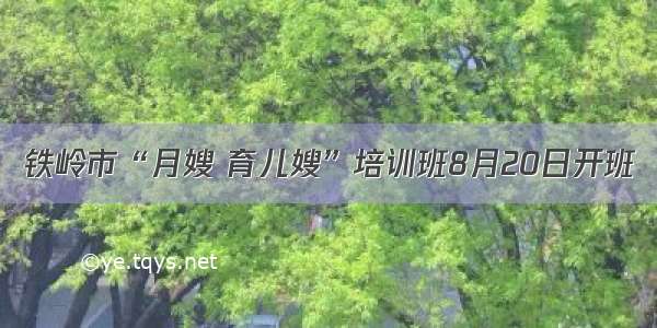 铁岭市“月嫂 育儿嫂”培训班8月20日开班