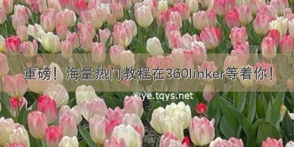 重磅！海量热门教程在360linker等着你！