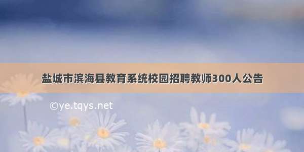 盐城市滨海县教育系统校园招聘教师300人公告