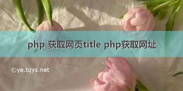 php 获取网页title php获取网址