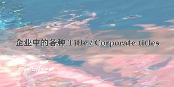 企业中的各种 Title / Corporate titles