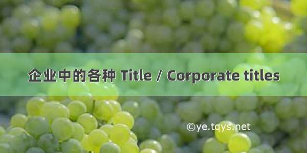 企业中的各种 Title / Corporate titles