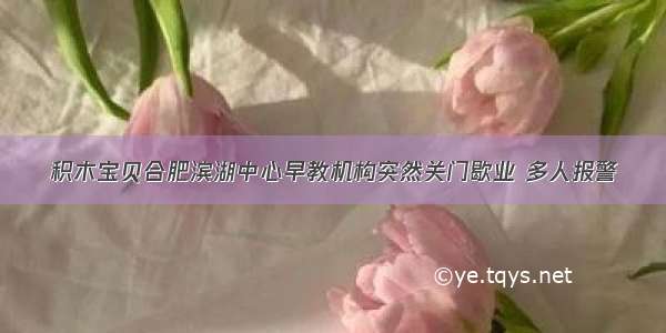 积木宝贝合肥滨湖中心早教机构突然关门歇业 多人报警