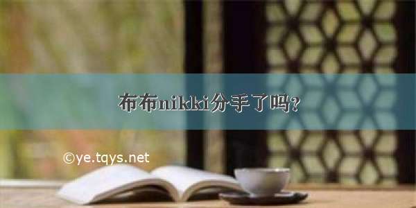 布布nikki分手了吗？