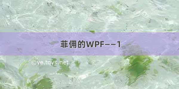 菲佣的WPF——1