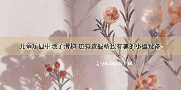 儿童乐园中除了滑梯 还有这些精致有趣的小型设备！