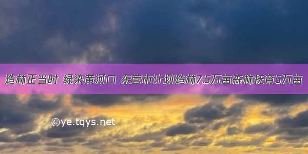 造林正当时 绿染黄河口 东营市计划造林7.5万亩森林抚育5万亩