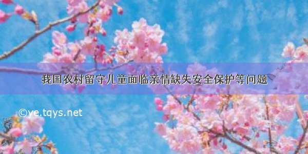 我国农村留守儿童面临亲情缺失安全保护等问题