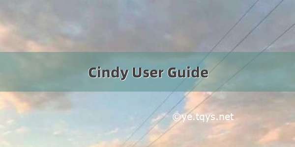 Cindy User Guide